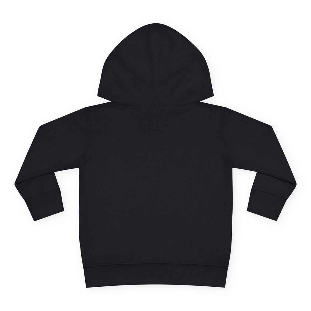 Toddler Hoodie - Cute Green Dinosaur ROAR! Pullover for Babies & Toddlers, Black, front view product photo