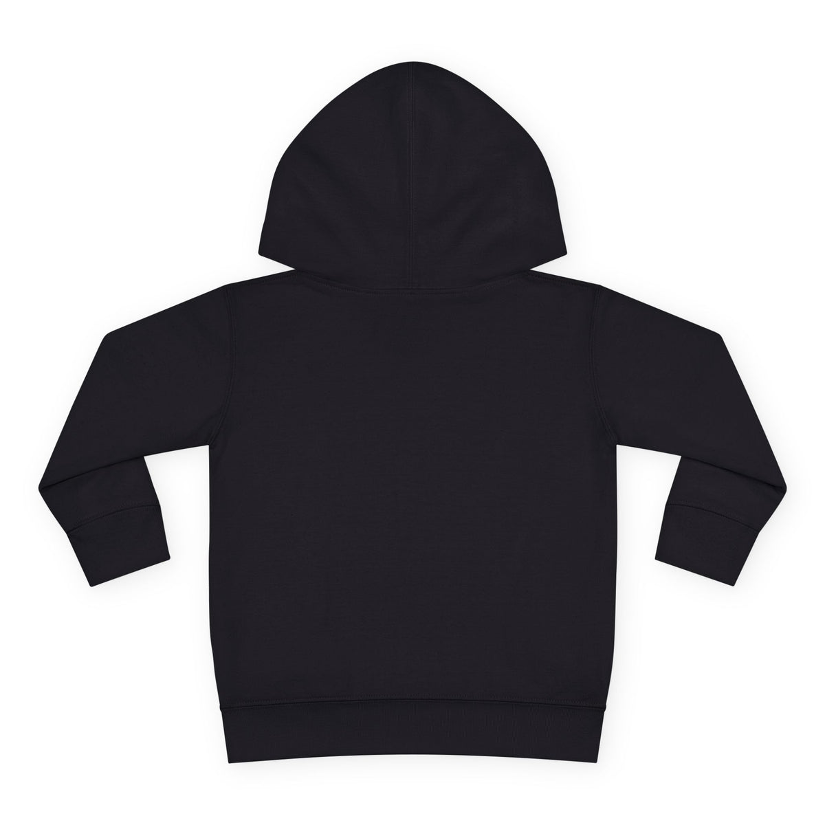 Toddler Hoodie - Cute Green Dinosaur ROAR! Pullover for Babies & Toddlers, Black, front view product photo